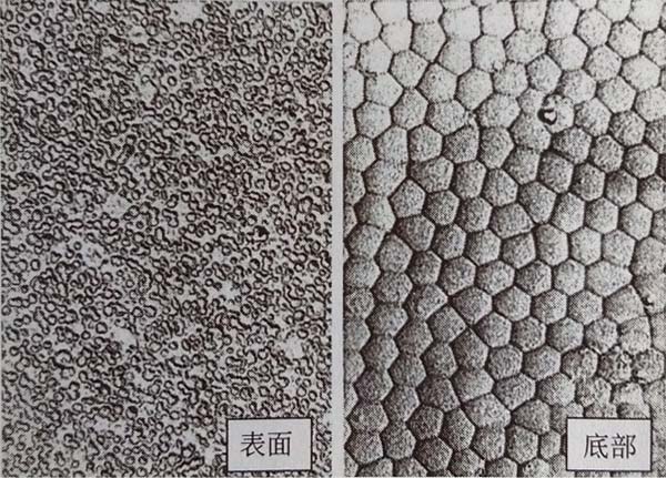 鋁型材表面生成的陽極氧化膜的表面和底部 鋁型材表面生成的陽極氧化膜的表面和底部